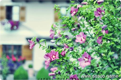 �μ���һ������,�����μ���һ������