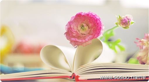 �μ�����ȼ����,�����μ�����ȼ����