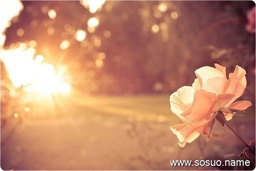 �μ�ɽ�²�,�����μ�ɽ�²�