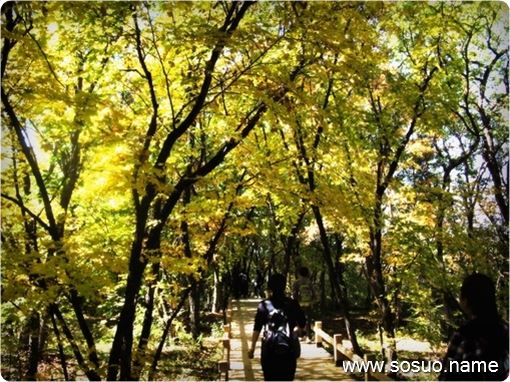 �μ���ٴ���,�����μ���ٴ���