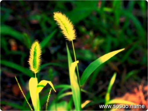 �μ����˸��Һܶ�һ�ٵ�,�����μ����˸��Һܶ�һ�ٵ�