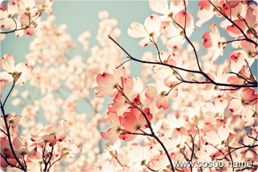 �μ�����ǰϲ������һ��˯��,�����μ�����ǰϲ������һ��˯��