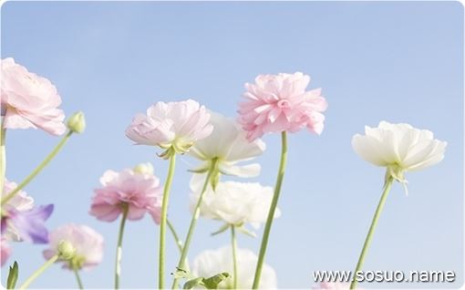 �μ����Ӹ�,�����μ����Ӹ�