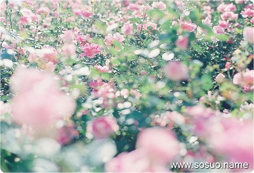 �μ��ұ����˸�����,�����μ��ұ����˸�����