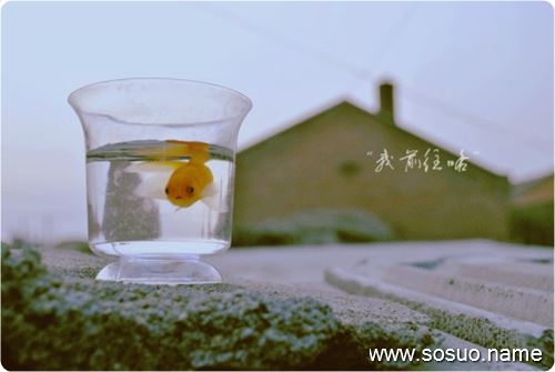 �μ��Ĵ����,�����μ��Ĵ����