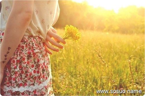 �μ��������㶹,�����μ��������㶹