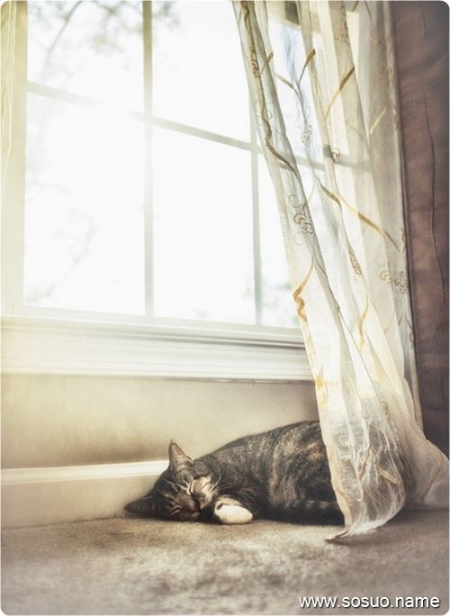 �μ�С������,�����μ�С������