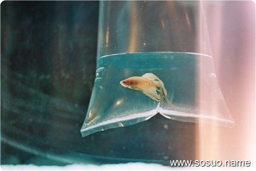 �μ��ܺ���,�����μ��ܺ���