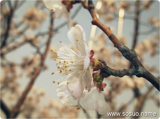 �μ��ø�ȥ���ҳ�����,�����μ��ø�ȥ���ҳ�����