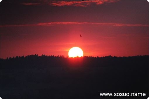 �μ����п����˼ҵ�СŮ��,�����μ����п����˼ҵ�СŮ��
