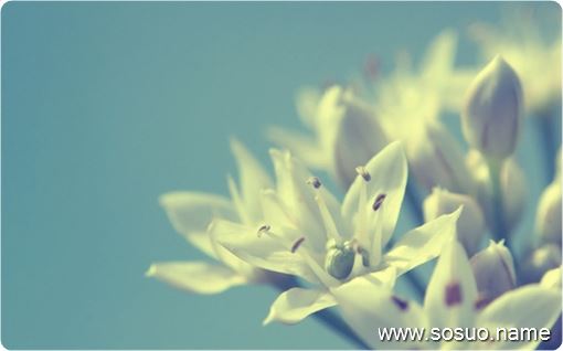 �μ������к���,�����μ������к���