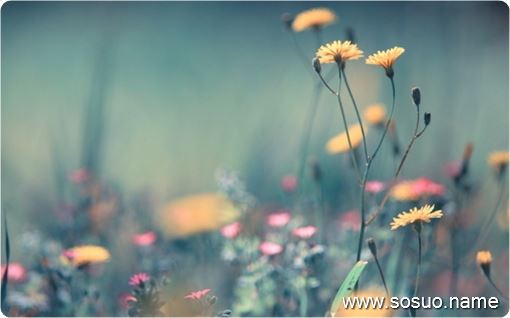 �μ����е�ǽ����ˢ����,�����μ����е�ǽ����ˢ����