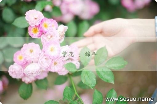�μ����ŵ�����̶����,�����μ����ŵ�����̶����