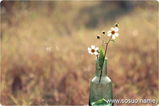 �μ��軰��,�����μ��軰��