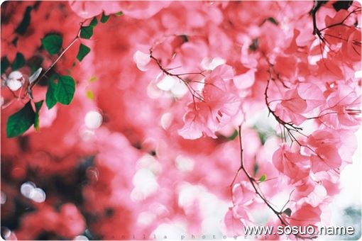 �μ�ʰ�������,�����μ�ʰ�������