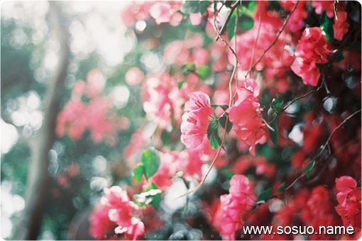 �μ�Ҫ���Ե�ȥ���˿���������,�����μ�Ҫ���Ե�ȥ���˿���������