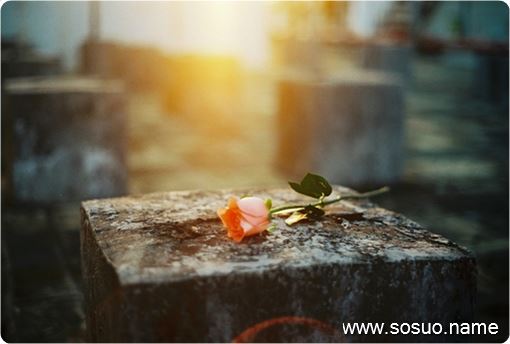 �μ�С���ڶ����ﶯ,�����μ�С���ڶ����ﶯ