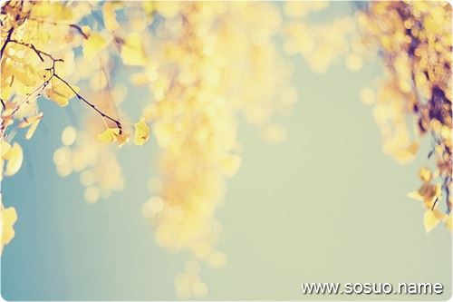 �μ��p��̥������һ��,�����μ��p��̥������һ��