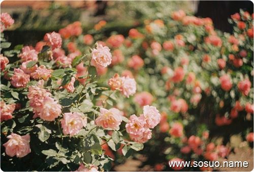 �μ����˷��ܴ�Ļ�,�����μ����˷��ܴ�Ļ�