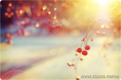 �μ�Ů�������ڿ޶��Ӹ���,�����μ�Ů�������ڿ޶��Ӹ���