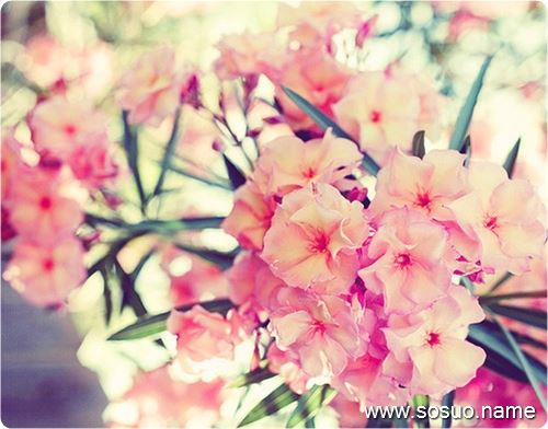 �μ�����ƻ����,�����μ�����ƻ����
