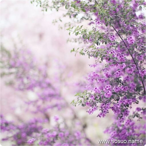 �μ�����Ȯ,�����μ�����Ȯ