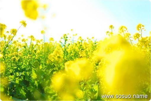 �μ����˵�ͷ����,�����μ����˵�ͷ����