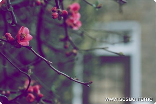 �и��μ�����,�����и��μ�����