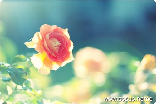 �μ���ȵ,�����μ���ȵ