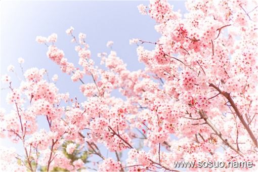 �μ��������Ѫ,�����μ��������Ѫ