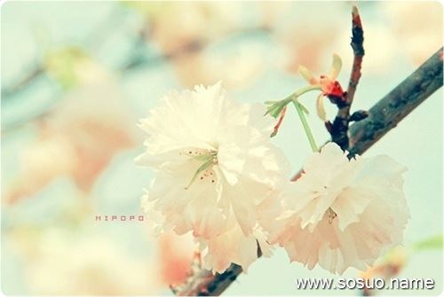 �μ����ɫ����,�����μ����ɫ����