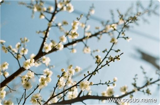 �μ�Ҫ�����˷ֲƲ�,�����μ�Ҫ�����˷ֲƲ�