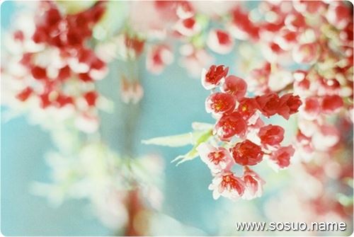�μ��Һ��Ұ�������һ�������,�����μ��Һ��Ұ�������һ�������