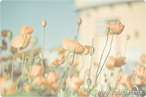 �μ�д�ֱ���,�����μ�д�ֱ���