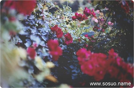 �μ�����������������ӳ�����,�����μ�����������������ӳ�����