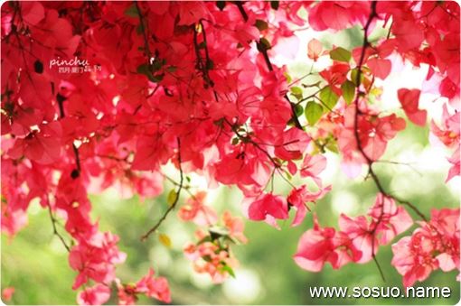 �μ���Ů�ڲ�ˮ����ο,�����μ���Ů�ڲ�ˮ����ο