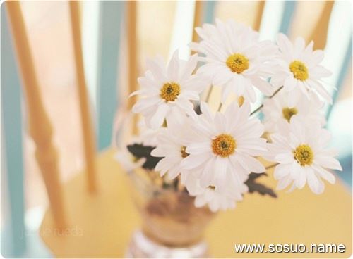 �μ����Լ�ϲ����Ů����������,�����μ����Լ�ϲ����Ů����������