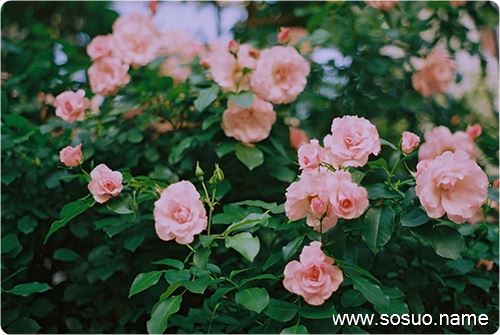 �μ�ج�ε���˵��ֻ�Ǹ���ʼ,�����μ�ج�ε���˵��ֻ�Ǹ���ʼ