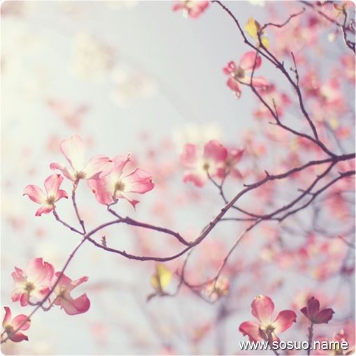 �μ���ѩ���ﴩ����Ь��,�����μ���ѩ���ﴩ����Ь��