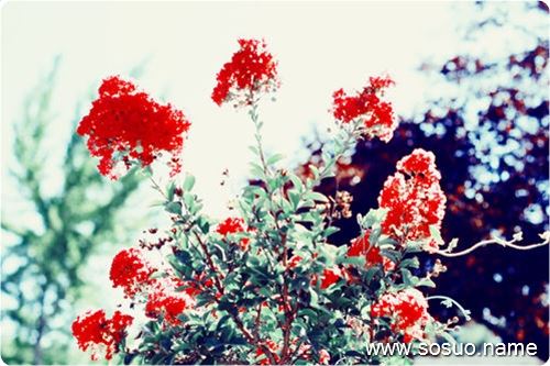 �μ�ȥ������������,�����μ�ȥ������������