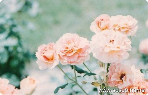�μ��˳���,�����μ��˳���