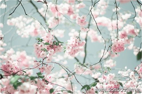 �μ���һ����Ů����Ȼ��̸����,�����μ���һ����Ů����Ȼ��̸����