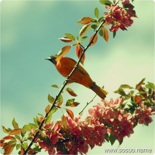 �μ�͵�������ֻ�,�����μ�͵�������ֻ�