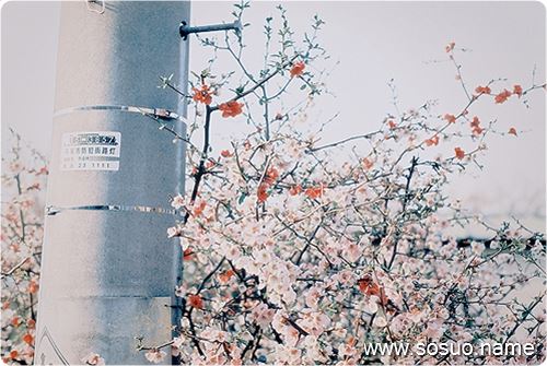 �μ�������ʹ������,�����μ�������ʹ������