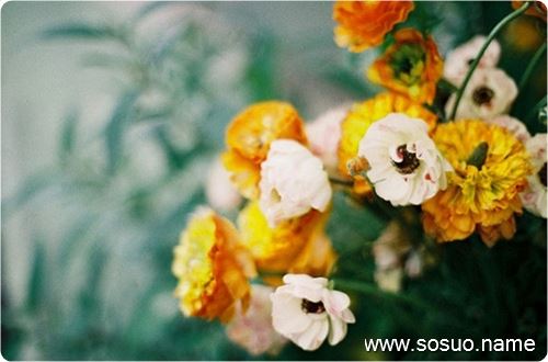 �μ�Ҫ������,�����μ�Ҫ������