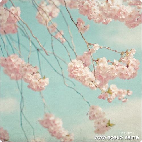 �μ��������ͷ��ð����,�����μ��������ͷ��ð����
