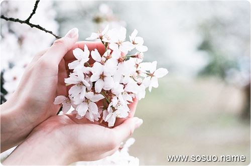 �μ��������ڵ��϶�ס,�����μ��������ڵ��϶�ס