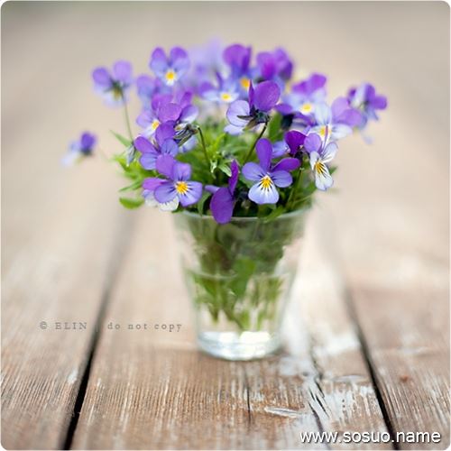 �μ��Լ�׷�Լ��ĺ�����,�����μ��Լ�׷�Լ��ĺ�����