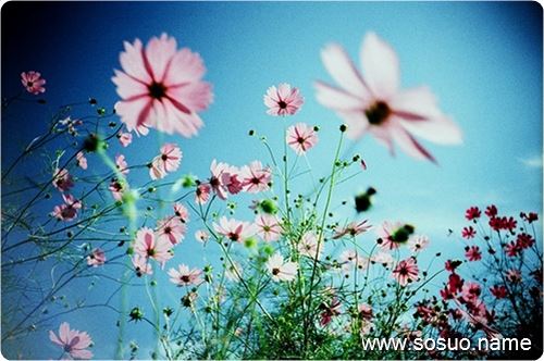 �μ��ο��ͱ���һ��������,�����μ��ο��ͱ���һ��������