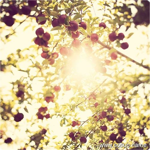 �μ��Լ��Ͷ��ӵ���ˮ����,�����μ��Լ��Ͷ��ӵ���ˮ����